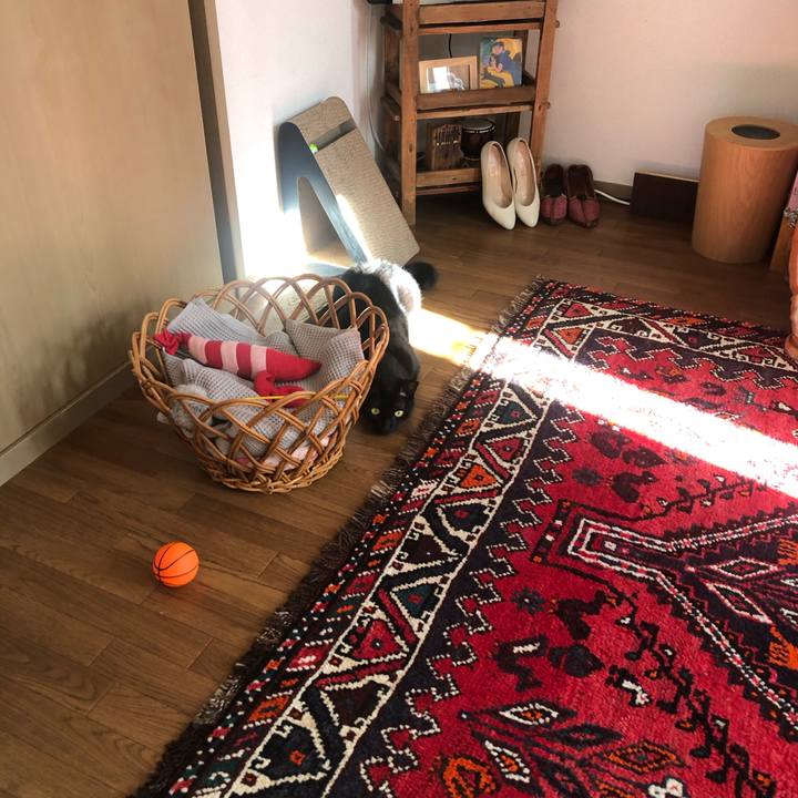 8c1c99e5 018a 4cd1 ad1c f6332673b74d 1605329971317