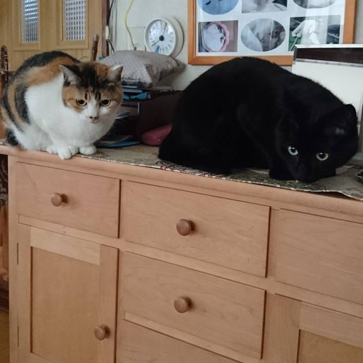 8c1cb10b aa2a 4b70 904e 3396f96da2b2 1535020570120