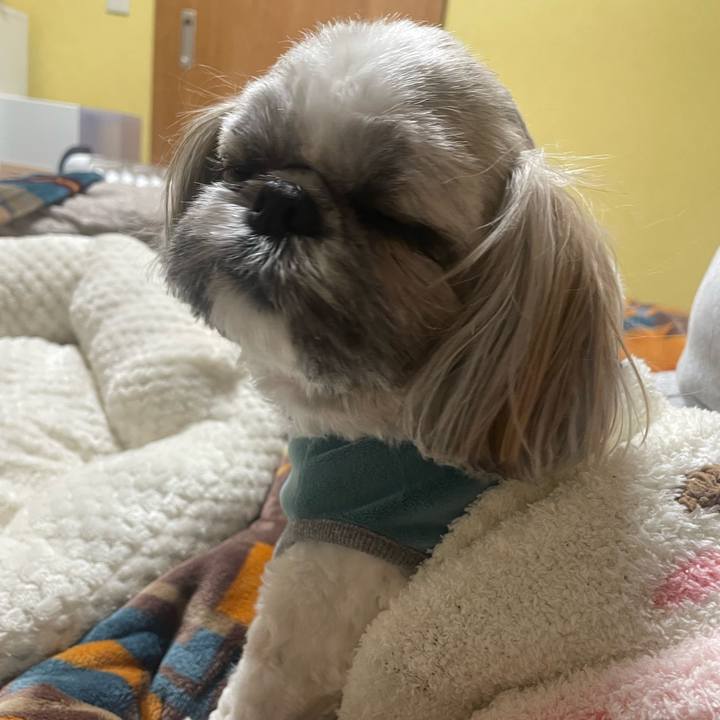 8c1cc26e 6801 4ec7 9b13 7a136384b243 1729733051265