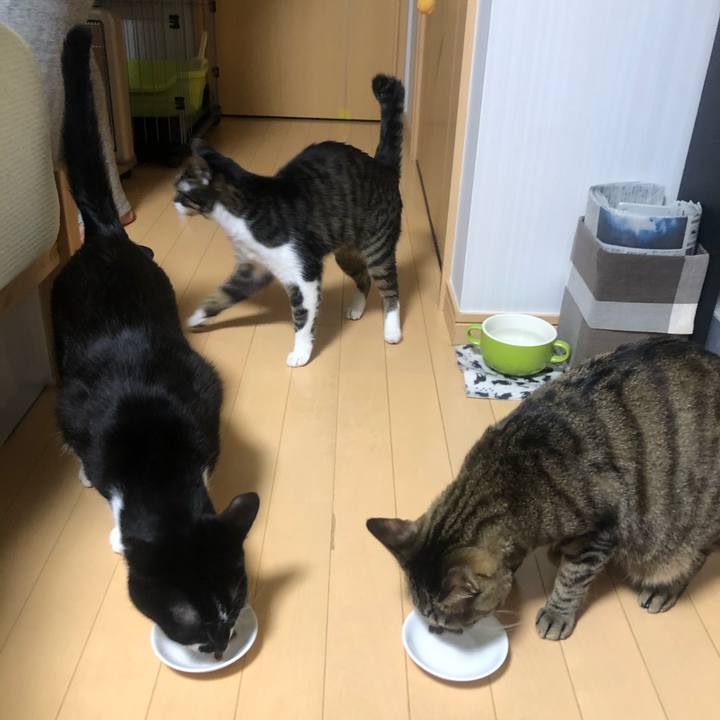 8c1cc69e 9bb3 4a56 9b36 7452faf4a962 1615063124691