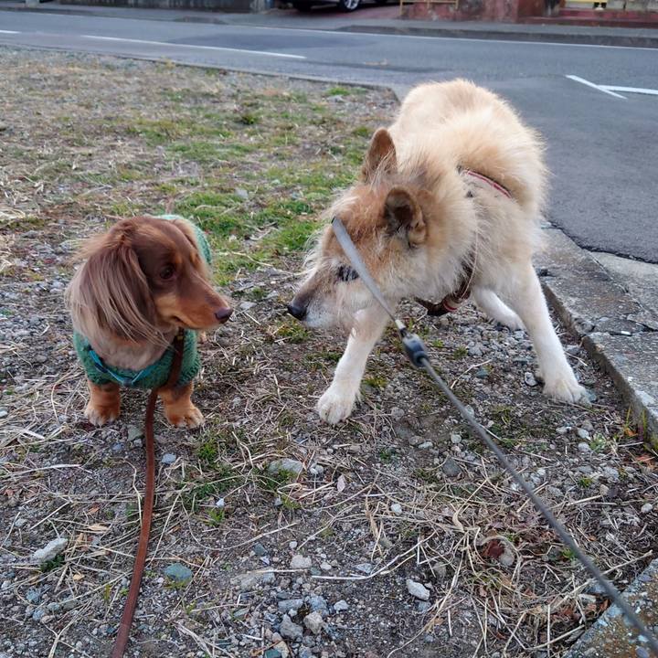 8c1ce010 d28d 42f5 88a1 f22d904e3c32 1640767437447