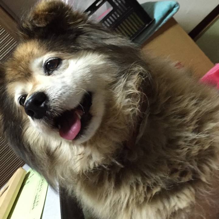 8c1cf04c b0ee 474a 894b e1bdd37b00dc 1603155024081