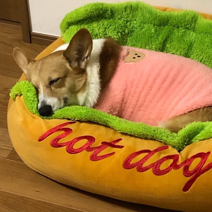 8c1e0383 d3e0 42fb a16d a68859230ecb 1670166795612