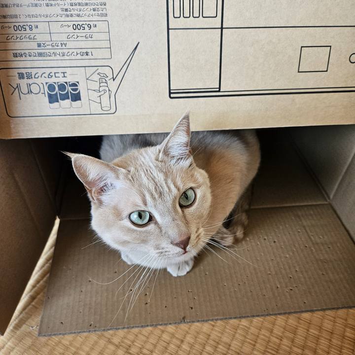 8c1e0ad0 e219 44e2 905d d9e6c1aa9af0 1773974620786