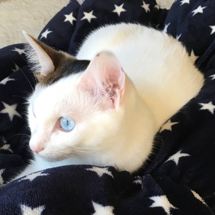 8c1e104c 042c 4915 892f 9efa770d5de7 1514341847068