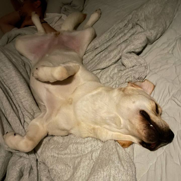 8c1e2908 b705 4117 8ac8 6b4ef50f216f 1658264479276