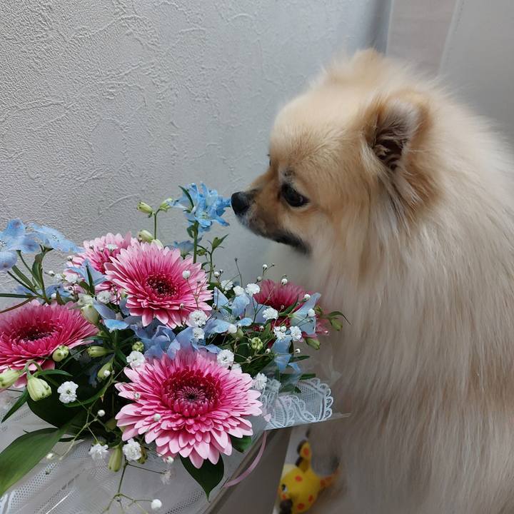 8c1e55ac 6e07 4171 b20e 86b94733a825 1710904799361