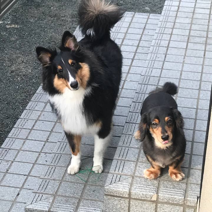 8c1e5d9d efcf 479a 9bc8 badb6be147e3 1527027177374