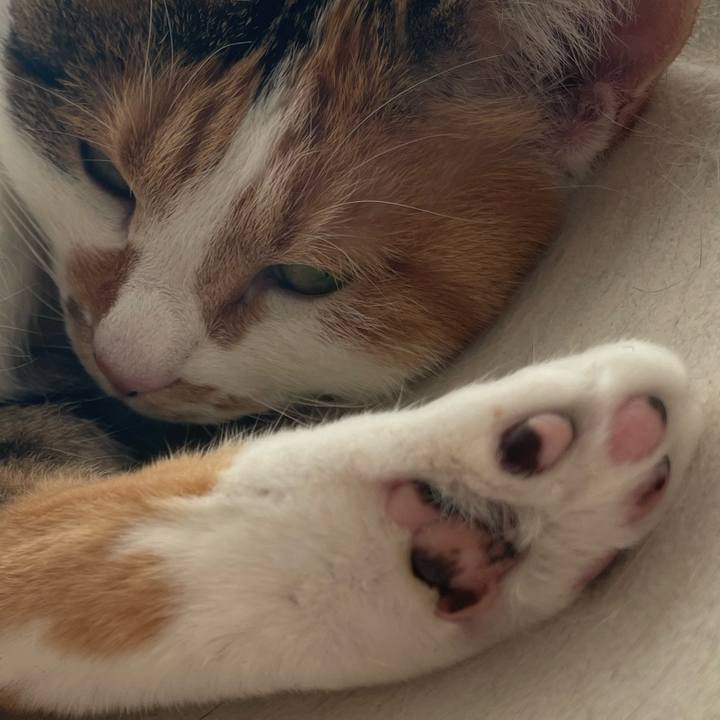 8c1e971a d645 4e74 b89b c137aa4c25ad 1734167406657