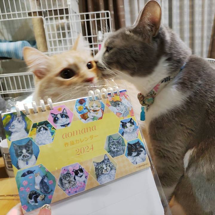 8c1eded6 d5b6 493f b567 7cab583f0882 1701523385819