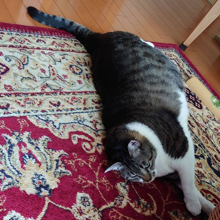 8c1ee5de d73f 4dfb 840a ed6c385c377d 1643933447589