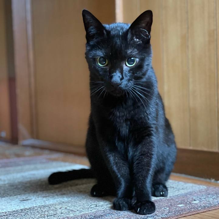 8c1ef0cc 6147 4eaf 8fdc be9feec82e22 1630544417599