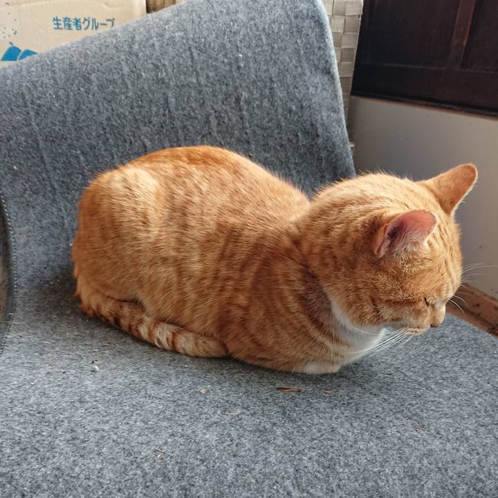 8c1f4d32 b67c 41bf 93cc 863395c4465c 1578805316765