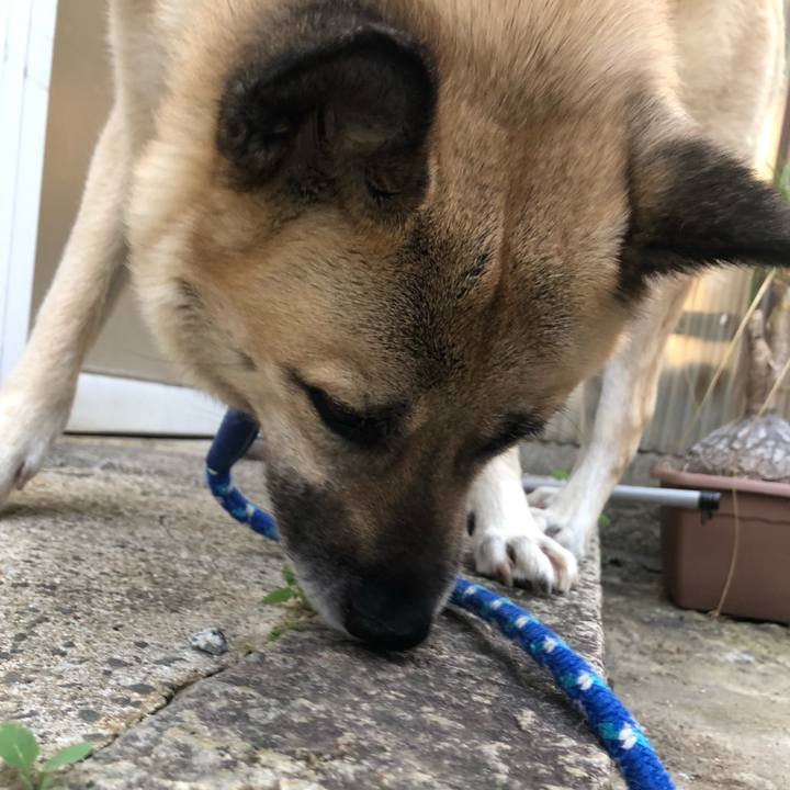 8c1f4f6a 7ab0 4176 a495 d4e74251e213 1623153387379