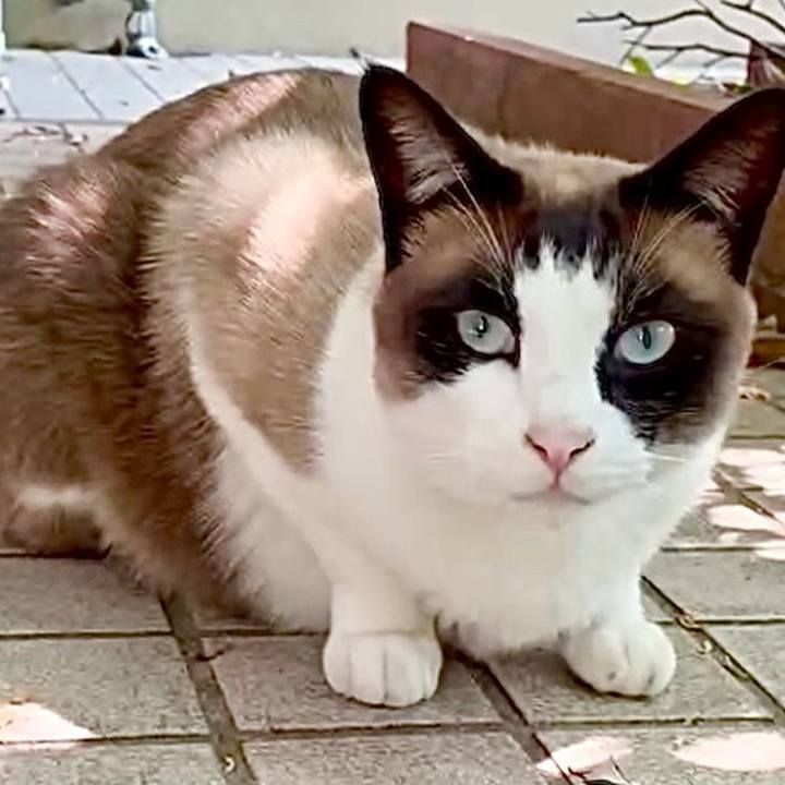 8c1f6a3c 8fe4 403f 90ba 9c5d01fbb375 1748742686507