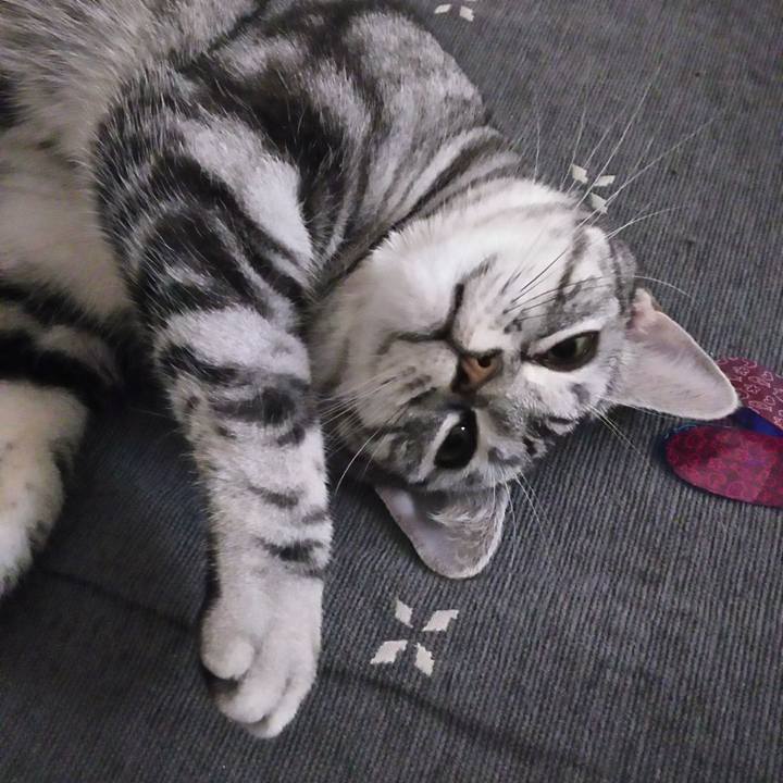 8c1f97c2 693a 49fd 97bc 84e22c170bfb 1581077256603