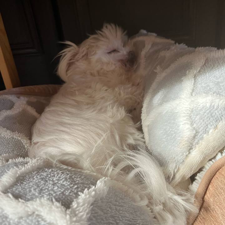 8c1fb1d3 2a3b 4b9b 8025 2baa87535440 1770510132405