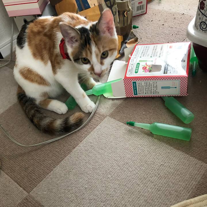 8c1fba95 58dc 4464 a028 6c956abd8bd0 1569710586537