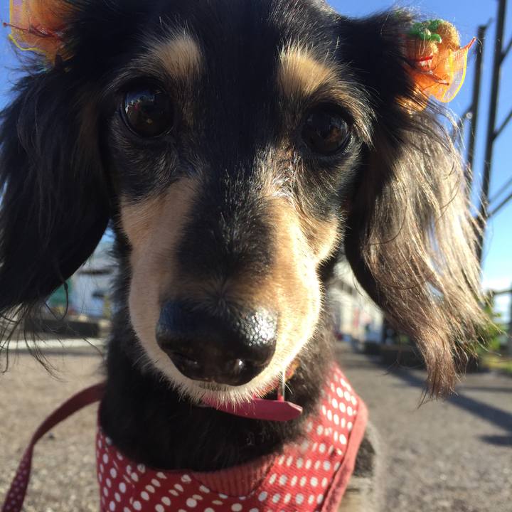 8c1fc75b 5eb5 43eb bea7 161c779cfd99 1542759716875