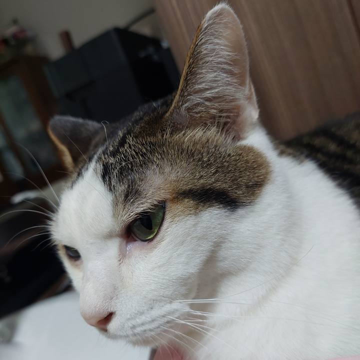 8c1fcaae ec9f 4d85 864c 8e2cfd654155 1634678863053