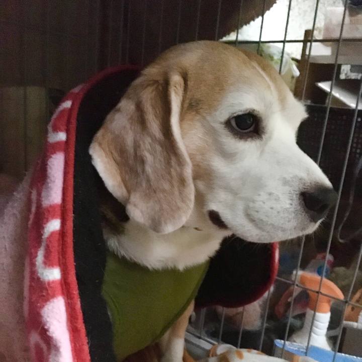 8c1fd412 4c93 41e9 9f33 44c9b2ff87c7 1571977650676