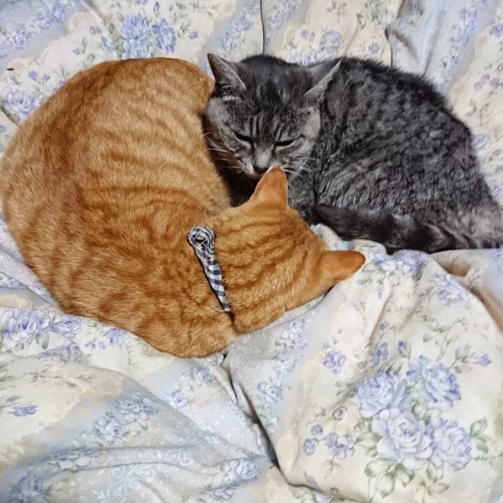 8c201316 882a 4940 8b4a 454257ccfdf1 1576324702740