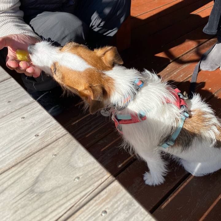 8c201e59 2651 41ec 892e deed38131dc9 1700374204899