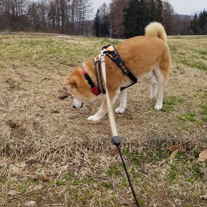 8c205436 52c6 4064 9f41 86fe345ed3e3 1712289128661