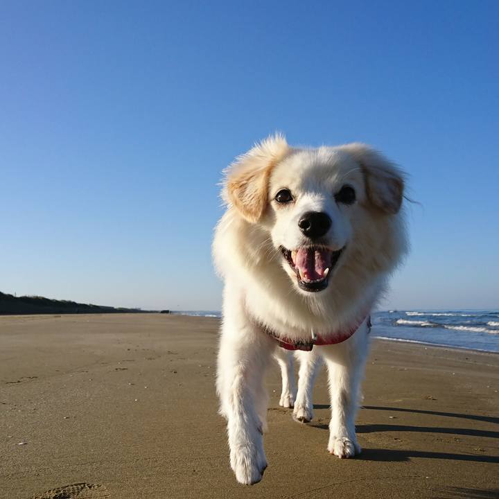 8c208931 5650 4370 9786 0f57b467e4bf 1540508258564