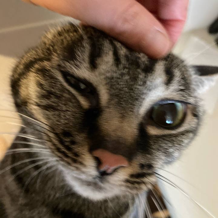 8c209712 03bd 4601 a842 55d12b1d3b80 1647384211505