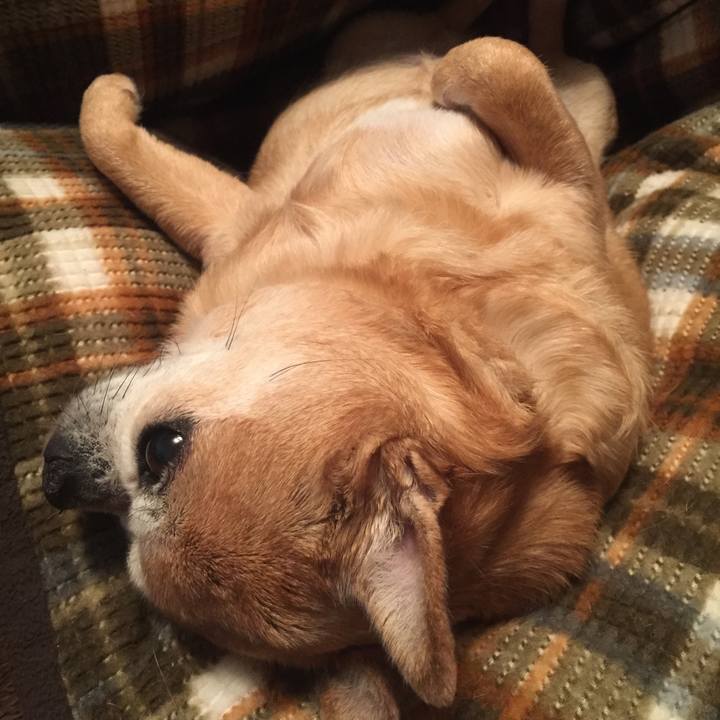 8c20bf00 1a94 4be0 8a5c 7140228e840d 1660260405784