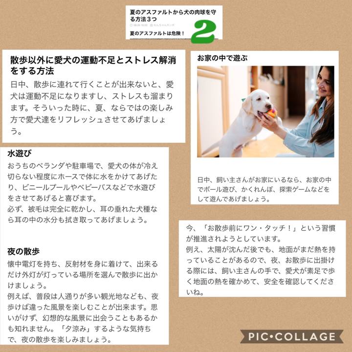 8c20ca03 8732 4a2d 91b8 c7ff1fbdea47 1533475758755