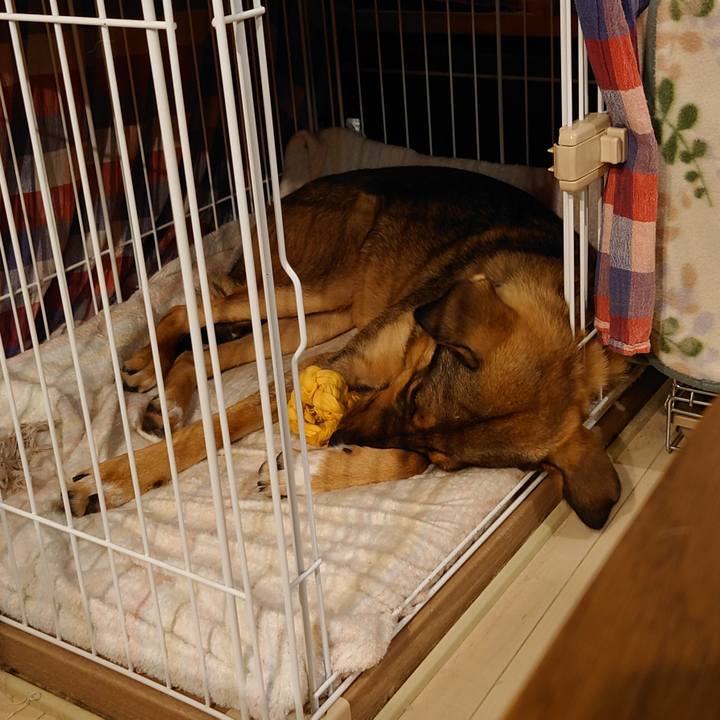 8c212163 2958 48dc abe7 b000a5c67091 1697705122255