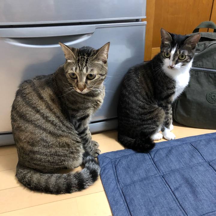 8c213bff f4d2 4300 b934 9c79bf4eb09e 1538930216350