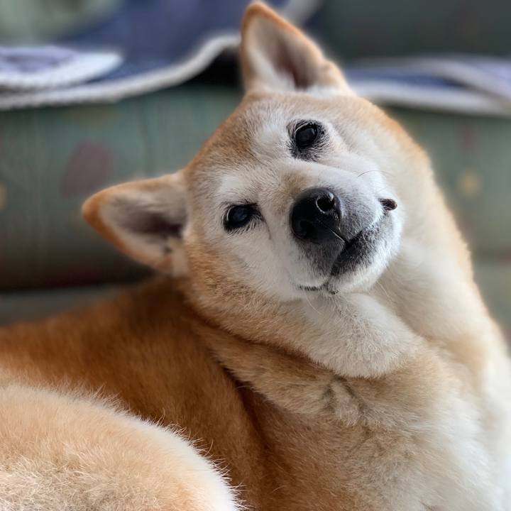 8c217646 16ce 4250 a1cf 74acea771a52 1570751796964