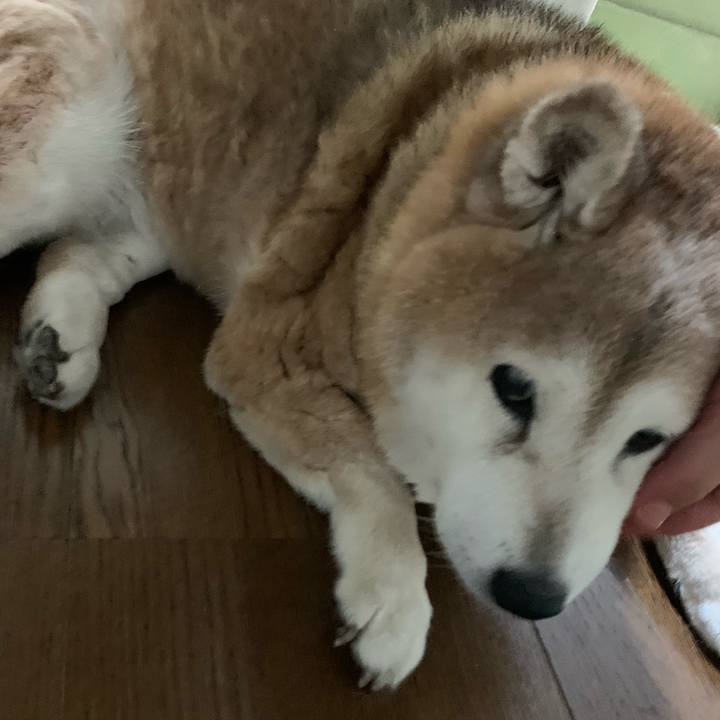 8c217c79 712a 4a12 af68 21705cbdb80b 1651393213940