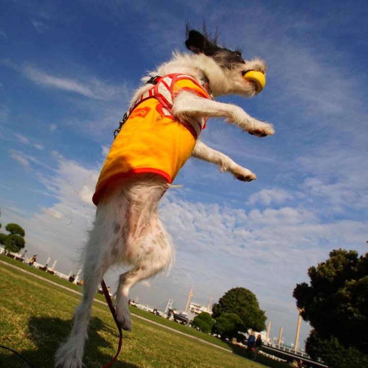 8c221c6a 4f0f 4c09 a48c c79422580b2d 1540372604844