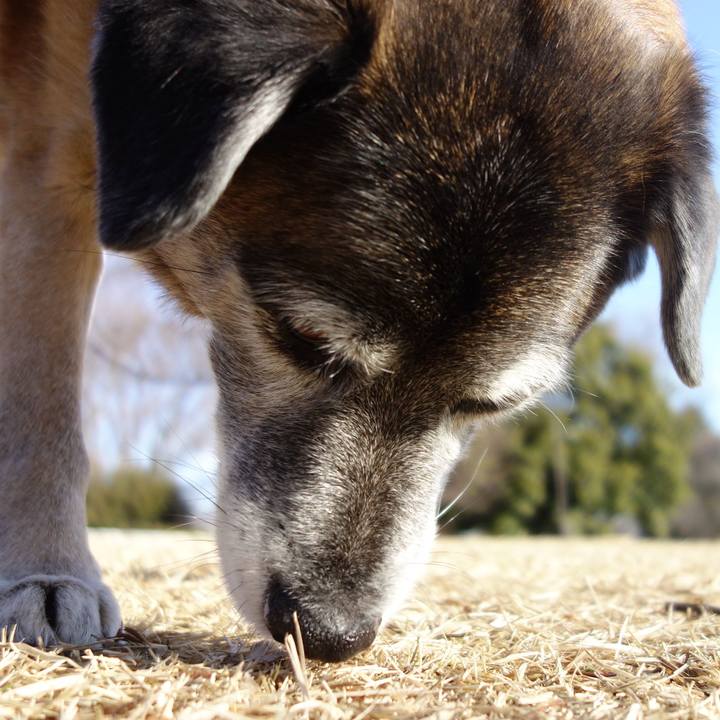 8c2220b1 f65e 4d19 98ad 16295df476ed 1549154228108