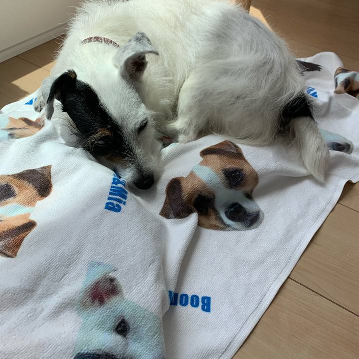 8c222215 ca66 4f70 9967 15a7603a4b27 1621308020574