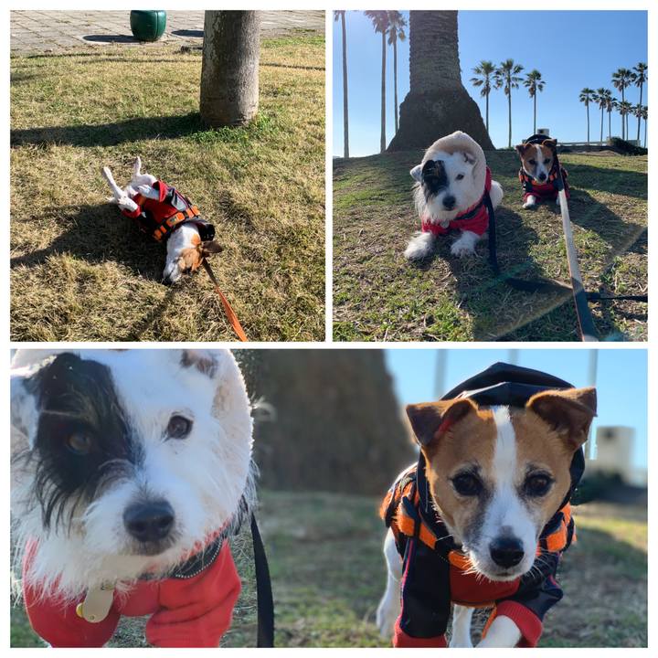 8c223522 1e09 45ac bd53 607d3e4ff47f 1576286455086