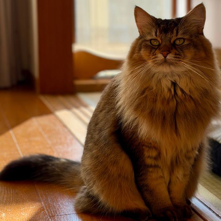 8c226941 2858 4a7f aa44 46380848edff 1767912043447