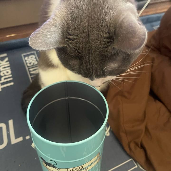 8c22ba79 bcbe 4d8b 9f09 949ab78344cc 1707804526999