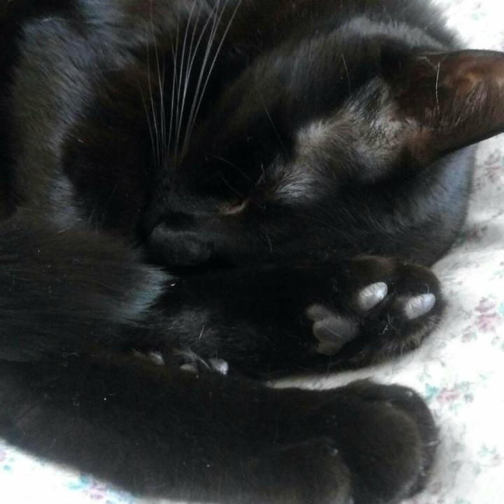 8c22e8ca 0c35 462f 9bd0 99387cdf2d0f 1521600561365