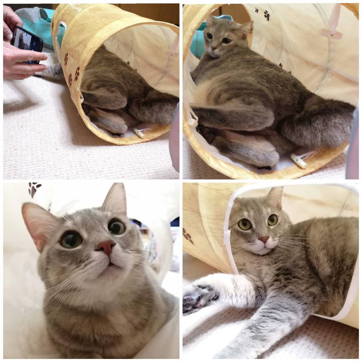 8c233a93 1375 403c b473 2a05e8a3ddcc 1577024664043