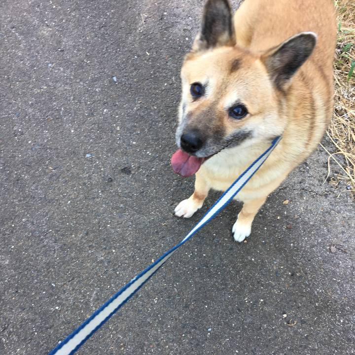 8c233bce ab1c 4a1c be55 6b61c7fd5479 1533988926452