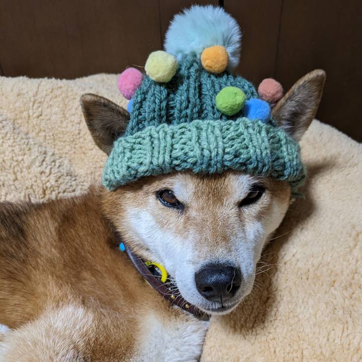 8c233db4 e4a6 4a55 bf0c 9524858281df 1700659094336