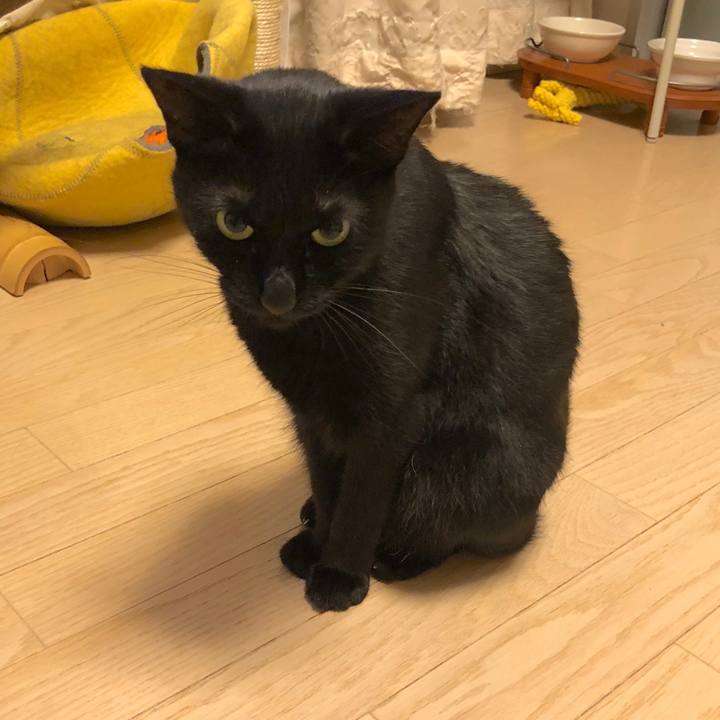 8c23c42a e95e 479d 80f3 860fc1b815d6 1537971177145