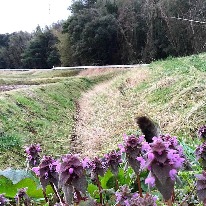 8c23f705 ff13 4389 a13d 8516e30a984c 1552351795552