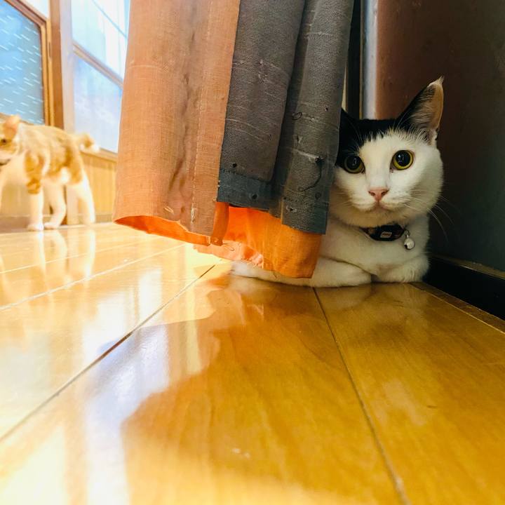 8c242929 5787 4cff 9a62 ac61f1926fc5 1659362676880