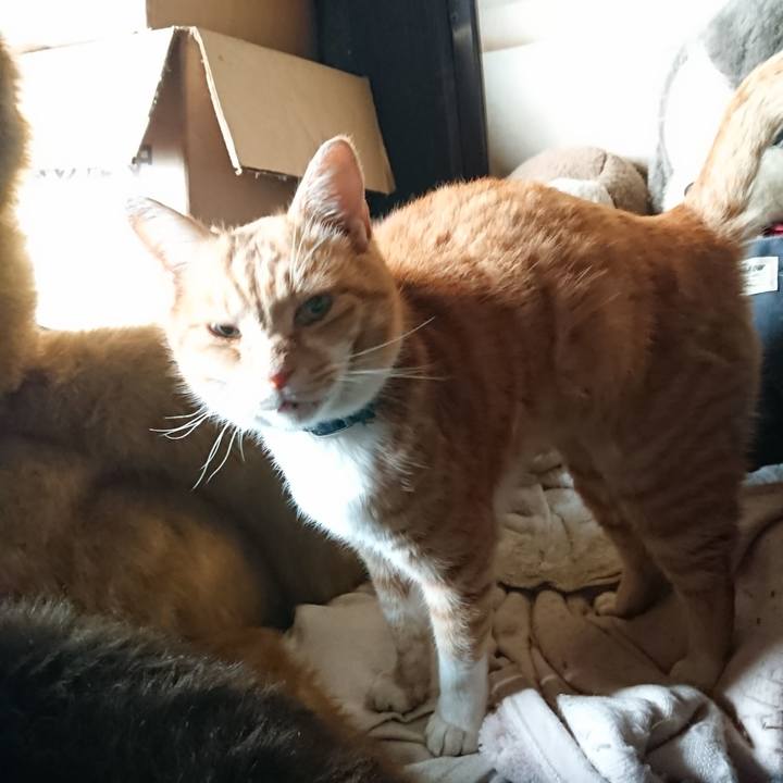 8c244a4e df64 4bf3 b6a3 80faac4a8352 1606090775015